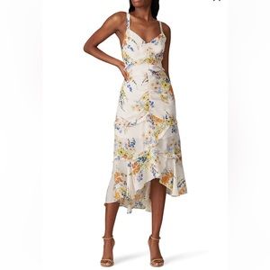 Parker Melody Floral-Printed Back-Cutout Dress size 2